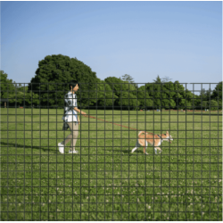 Grillage soudé vert 50x50 – Rouleau 25 m | Cloture Métal