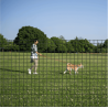 Grillage soudé vert 50x50 – Rouleau 25 m | Cloture Métal