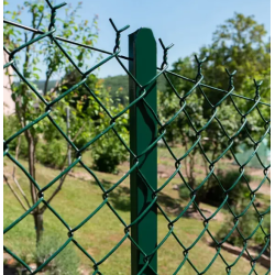 Piquet poteau en T acier plastifié – Support clôture | Cloture Métal