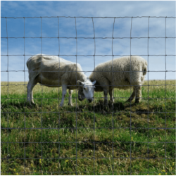 Grillage à mouton galvanisé 100 m – Clôture élevage | Cloture Métal
