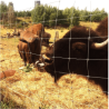 Grillage super lourd galvanisé – rouleau 50 m | Cloture Métal