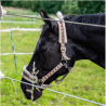 Fil lisse galvanisé chevaux – Rouleau 200 m | Clôture équine sécurisée